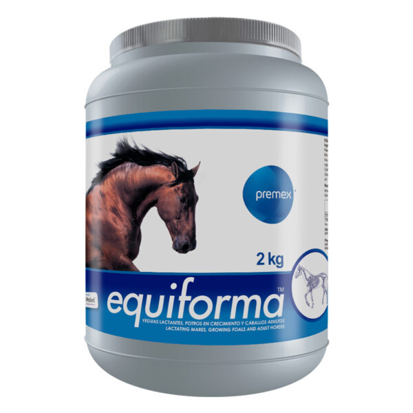 EQUIFORMA - Original