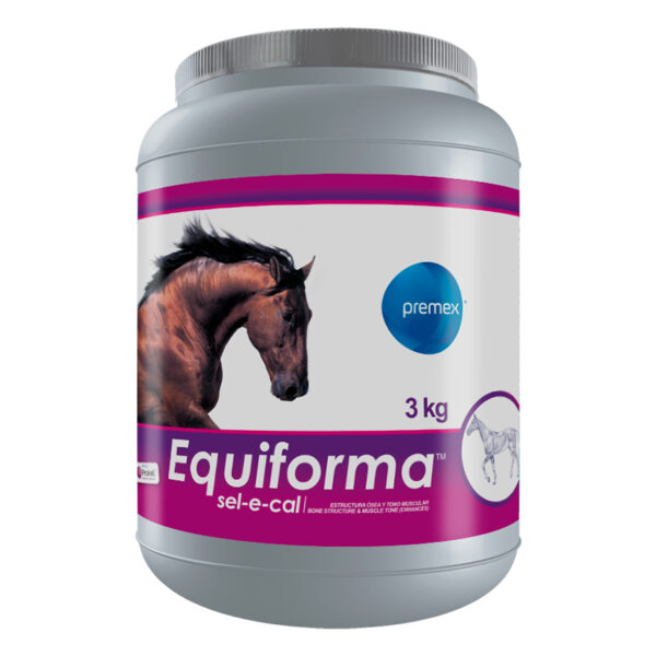 EQUIFORMA-SEL-E-CAL