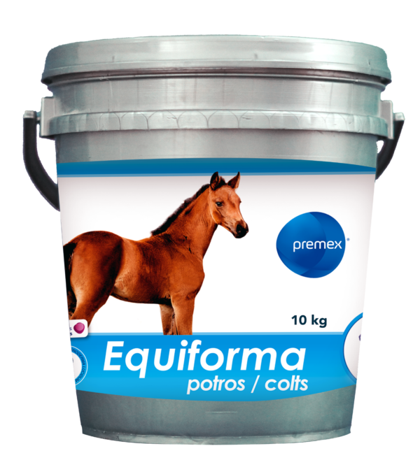 Equiforma-potro10kg