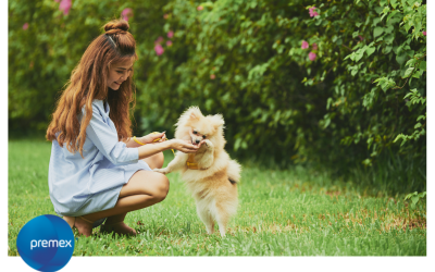 Vitaminas esenciales para cachorros: potencia el desarrollo