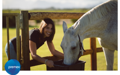 Equiforma: La elección premium en suplementos para caballos